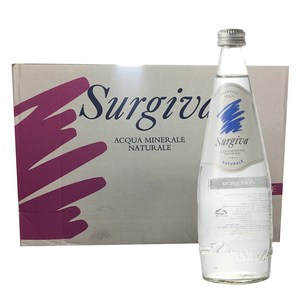 수르지바 미네럴워터, 750ml, 12개