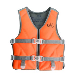 비앤씨 아이와 수영조끼, 35kg, 1개