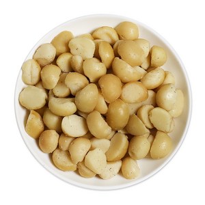 웰넛 자연두레 마카다미아, 500g, 1개