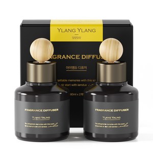아이엠듀 퍼퓸 차량용 방향제 디퓨저 80mL 2개 + 우드볼스틱 2개, 일랑일랑, 1세트