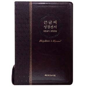큰글씨 성경전서(개역개정/새찬송가/NKR73EBU/대/다크브라운/색인), 대한기독교서회
