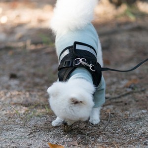 미즈펫 야간 빛 반사 세이프 강아지 하네스 + 리드줄, 블랙, XS, 1개