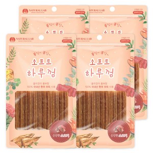 내츄럴랩 소프트 하루껌 반려견 간식, 소고기 맛, 85g, 4개