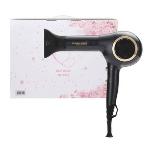 예스뷰티 전문가용 BLAC모터 실키 드라이기 1700W