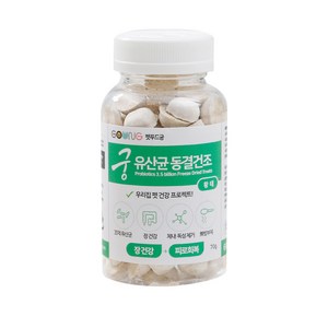 궁 반려동물 유산균 동결건조 영양제 70g, 황태, 1개, 장건강/유산균