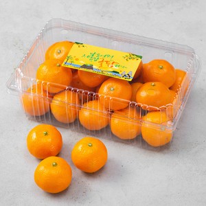 귤탐 당도선별 11Brix 감귤, 1.5kg(로열과), 1개