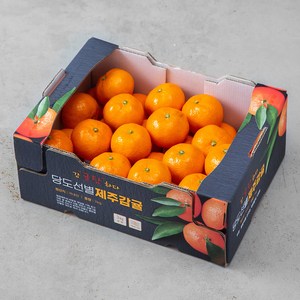 귤탐 고당도 하우스 감귤 로열과, 3kg(S~M), 1박스