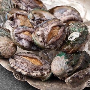 아라보감 산소 품은 국산 전복 500g, 500g(꼬마,11..., 1개