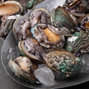 아라보감 산소 품은 국산 전복 1kg, 꼬마(22~30미), 1개