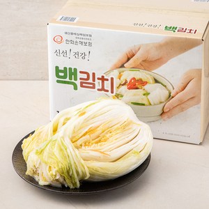 백김치, 10kg, 1개