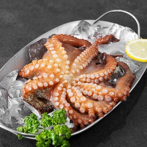 아라보감 국산 돌문어 생물 (냉장)