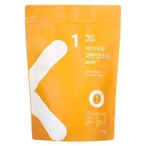 레인보우샵 과탄산소다 베이직 리필 파우치 타입, 5kg, 1개