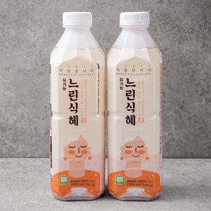 유기가공식품 인증 차를달이다 느린 식혜, 1L, 2개