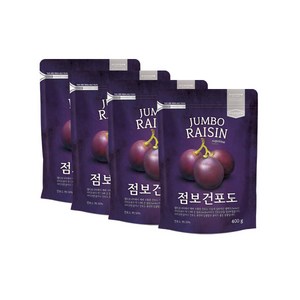 리치팜너트 점보 건포도, 400g, 4개