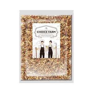 초이스팜 건대추 슬라이스, 500g, 1개