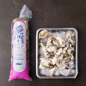 갯마을 남해안 가열조리용 봉지굴 (냉장), 480g, 1봉