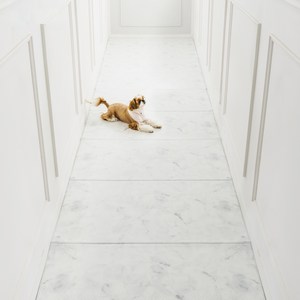 디팡 펫플레이 강아지매트 폴딩타입 100폭, 마블 화이트, 8칸 (480cm ..., 1개