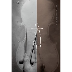 울림:삶의 아름다운 의미를 찾아서, 마틴 슐레스케, 니케북스