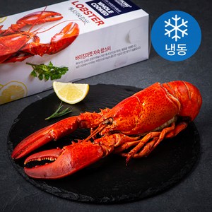 바이킹마켓 캐나다산 자숙 랍스터 (냉동), 450g 내외, 1개