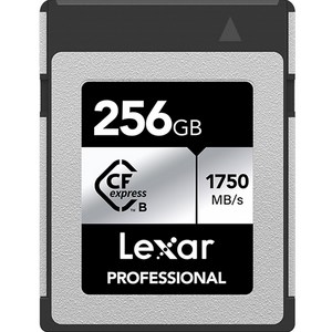 렉사 Pofessional CFexpess Type B SILVER 메모리카드, 256GB, 1개