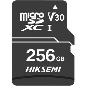 HIKSEMI D1 microSD 메모리카드 HS-TF-D1, 256GB