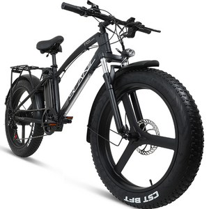 에이유테크 스카닉 F100 전기자전거 고객직접설치