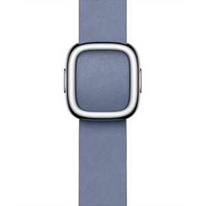 Apple 정품 애플워치 모던 버클