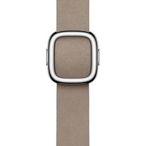 Apple 정품 애플워치 모던 버클