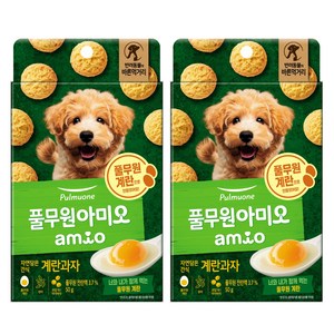 풀무원 아미오 자연담은 강아지 간식, 계란, 50g, 2개