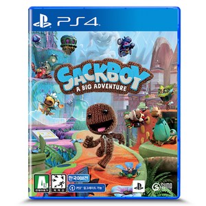 플레이스테이션 PS4 색보이 어 빅 어드벤처