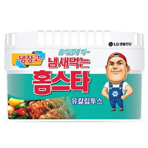 냄새먹는 홈스타 냉장고용 탈취제 유칼립투스, 420g, 1개