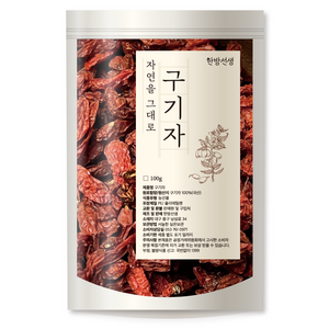 한방선생 건 구기자, 100g, 1개