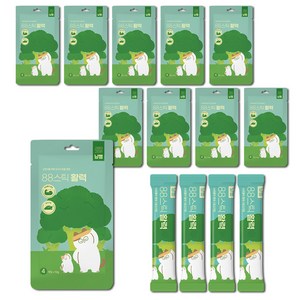 냥쌤 고양이 88스틱 활력 짜먹는 간식 간식 4p