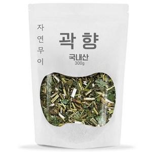 자연무이 곽향 곽향차 배초향, 300g, 1개