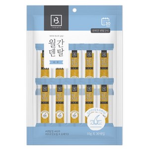 브리더랩 강아지 월간 덴탈껌 피부 30p, 연어, 300g, 1개