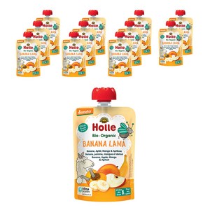 홀레 유아용 유기농 파우치 과일퓨레 바나나 라마, 혼합맛(바나나/사과..., 100g, 12개