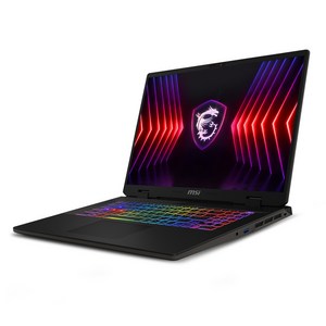 MSI 스워드 17 HX 그레이블랙, 코어i7, 512GB, 16GB, WIN11 Home, 2024.04