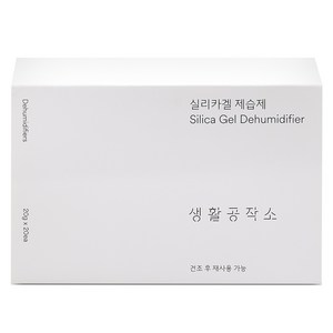 생활공작소 실리카겔 제습제 본품, 400g, 1개