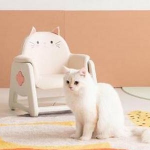 리바트 아동용 뚜뚜 높이조절 의자 냥이 방문설치