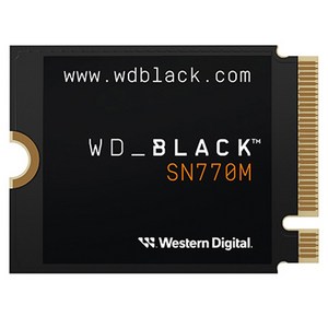 WD BLACK SN770M M.2 2230 NVMe 스팀덱 Ally호환 SSD, 2TB, WDS200T3X0G