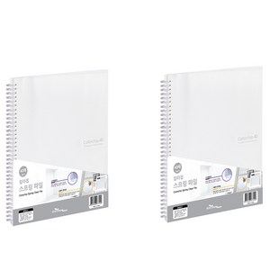 에코청운 칼라칩 A4 스프링 화일 40매, 투명, 2개입