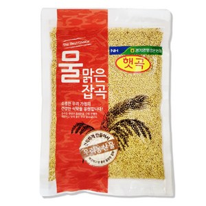 물맑은양평 청운농협 찰기장, 500g, 1개