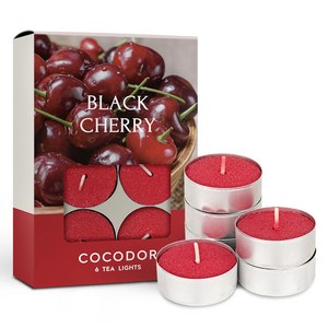 코코도르 티라이트 캔들