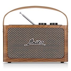 브리츠 블루투스 스피커