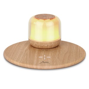 브리츠 무선 충전 휴대 겸용 블루투스 스피커 세트