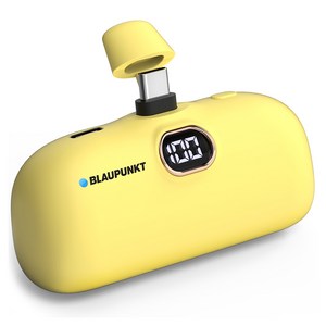 블라우풍트 5000mAh LED 보조배터리