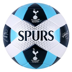 비바스포츠 토트넘홋스퍼 축구공, 5호, 1개