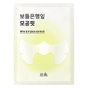 한율 보들은행잎 모공핏 마스크 10g, 1개입, 1개