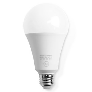 두영 LED 전구 15W, 주광색, 1개
