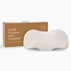 애플라이너 애플 베개